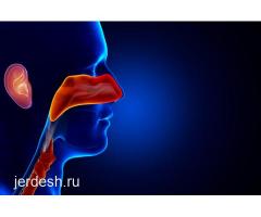 ТЕРАПЕВТ, хирург,ЛОР, ПЕДИАТР,невролог ,офтальмолог,уролог, АЛЛЕРГОЛОГ,дерматолог, СТОМАТОЛОГИЯ!: фото 2