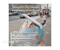 Арзан авиабилеттер: фото 2