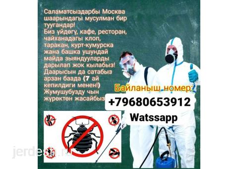 Дезинфекция:Клоп,Таракан жана Блох жок кылабыз!: фото 1