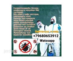 Дезинфекция:Клоп,Таракан жана Блох жок кылабыз!: фото 2