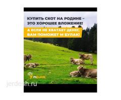 Быстрые займы от 5000 до 450000 рублей: фото 3