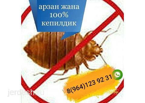 Дезинфекция +7964 1239231: фото 1
