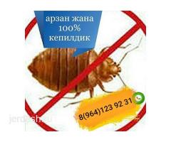 Дезинфекция +7964 1239231: фото 2