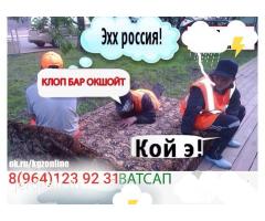 Дезинфекция +7964 1239231: фото 3