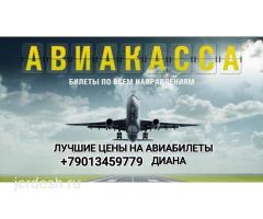 Арзан авиакасса ишеничтуу билеты Авиабилет Авиабилеты: фото 2