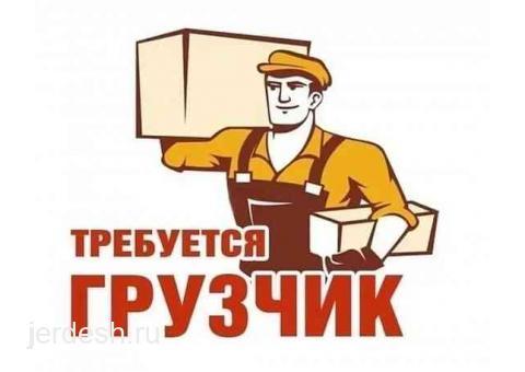 Официальное трудоустройство!: фото 1