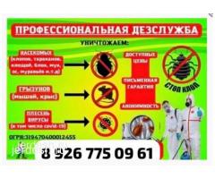 ДЕЗИНФЕКЦИЯ ТАРАКАН КЛОБ: фото 2
