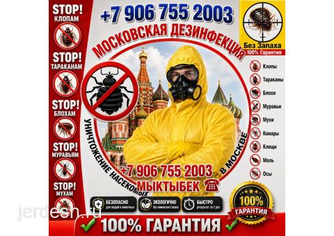 ДЕЗИНФЕКЦИЯ — МОСКВА жана МОСКВА ОБЛАСТЫ КЛОП, ТАРАКАН, БЛОХ, КЛЕЩ жана башка зыянкечтерге каршы !: фото 1
