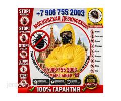 ДЕЗИНФЕКЦИЯ — МОСКВА жана МОСКВА ОБЛАСТЫ КЛОП, ТАРАКАН, БЛОХ, КЛЕЩ жана башка зыянкечтерге каршы !: фото 2