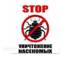 ДЕЗИНФЕКЦИЯ — МОСКВА жана МОСКВА ОБЛАСТЫ КЛОП, ТАРАКАН, БЛОХ, КЛЕЩ жана башка зыянкечтерге каршы !: фото 3
