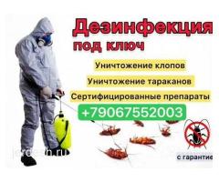 ДЕЗИНФЕКЦИЯ — МОСКВА жана МОСКВА ОБЛАСТЫ КЛОП, ТАРАКАН, БЛОХ, КЛЕЩ жана башка зыянкечтерге каршы !: фото 4