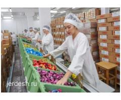 Упаковка конфет и печенья, оплата ежедневно: фото 2