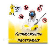 Уничтожение клопов и тараканов в Москве и области: фото 3