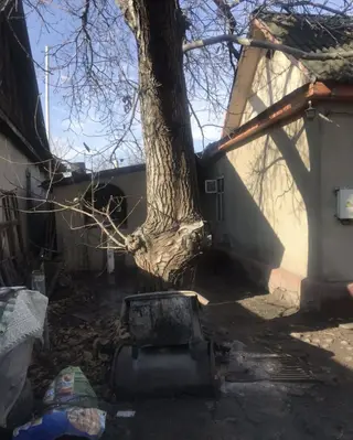 70 м², 4 комнаты, Дордой-1 ж/м, Без животных